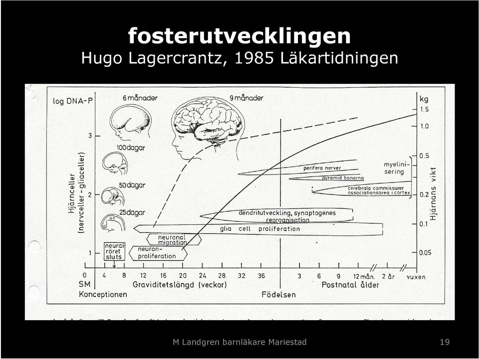 Läkartidningen M