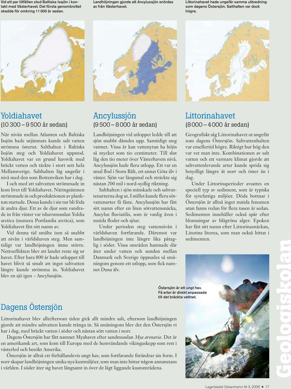 Yoldiahavet (10 300 9 500 år sedan) När nivån mellan Atlanten och Baltiska Issjön hade utjämnats kunde salt vatten strömma österut. Salthalten i Baltiska Issjön steg och Yoldiahavet uppstod.