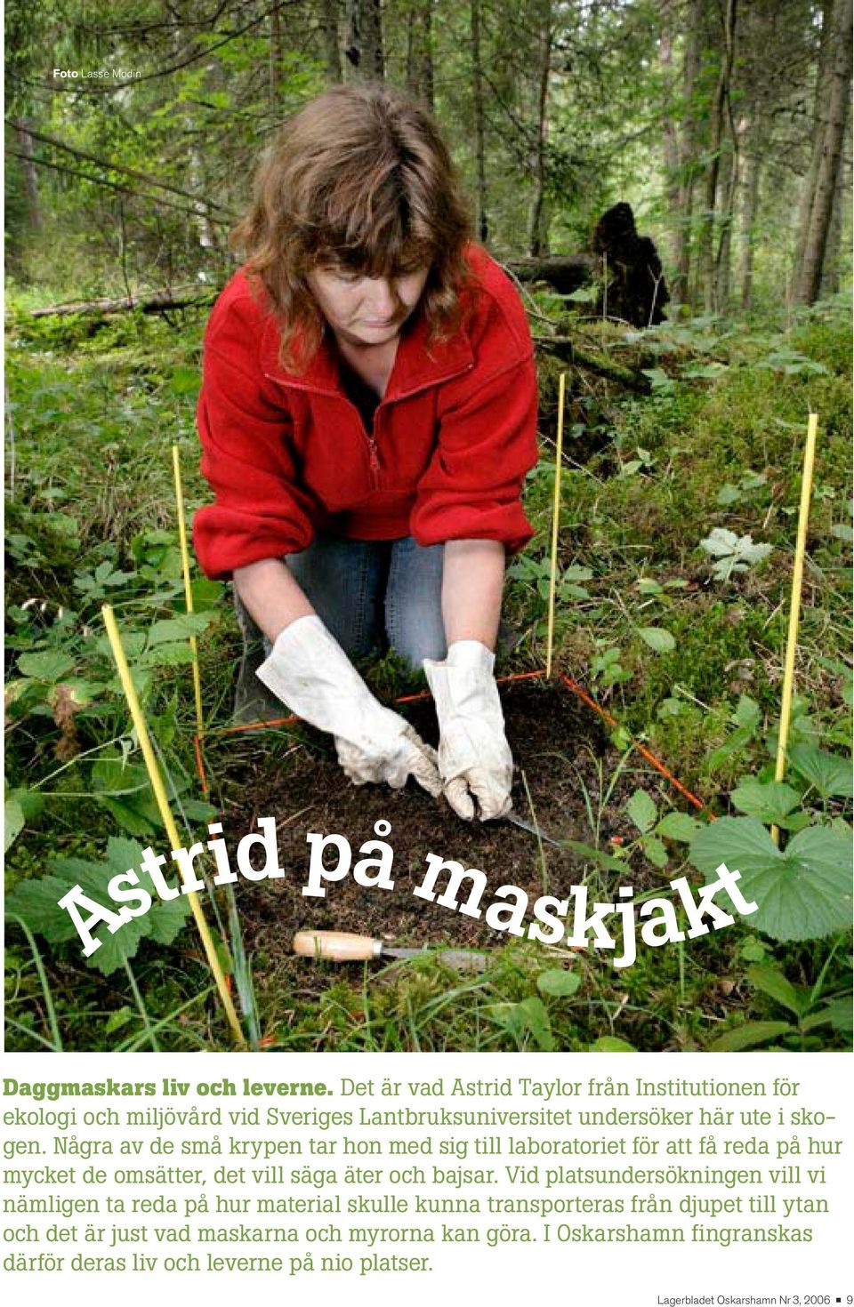 Några av de små krypen tar hon med sig till laboratoriet för att få reda på hur mycket de omsätter, det vill säga äter och bajsar.