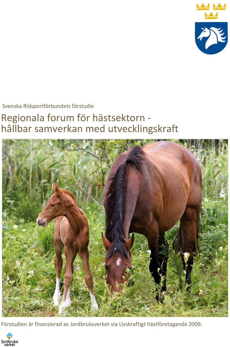 utvecklingskraft Förstudien är finansierad av