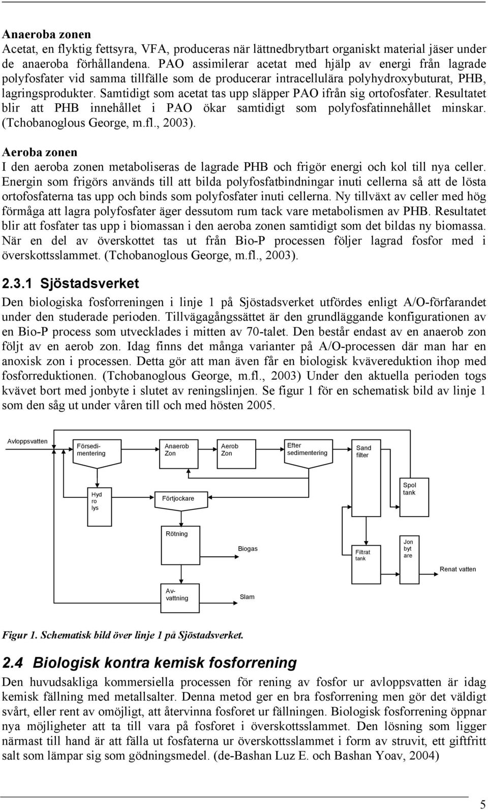 Samtidigt som acetat tas upp släpper PAO ifrån sig ortofosfater. Resultatet blir att PHB innehållet i PAO ökar samtidigt som polyfosfatinnehållet minskar. (Tchobanoglous George, m.fl., 2003).