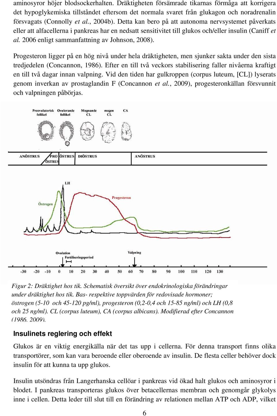 Detta kan bero på att autonoma nervsystemet påverkats eller att alfacellerna i pankreas har en nedsatt sensitivitet till glukos och/eller insulin (Caniff et al.