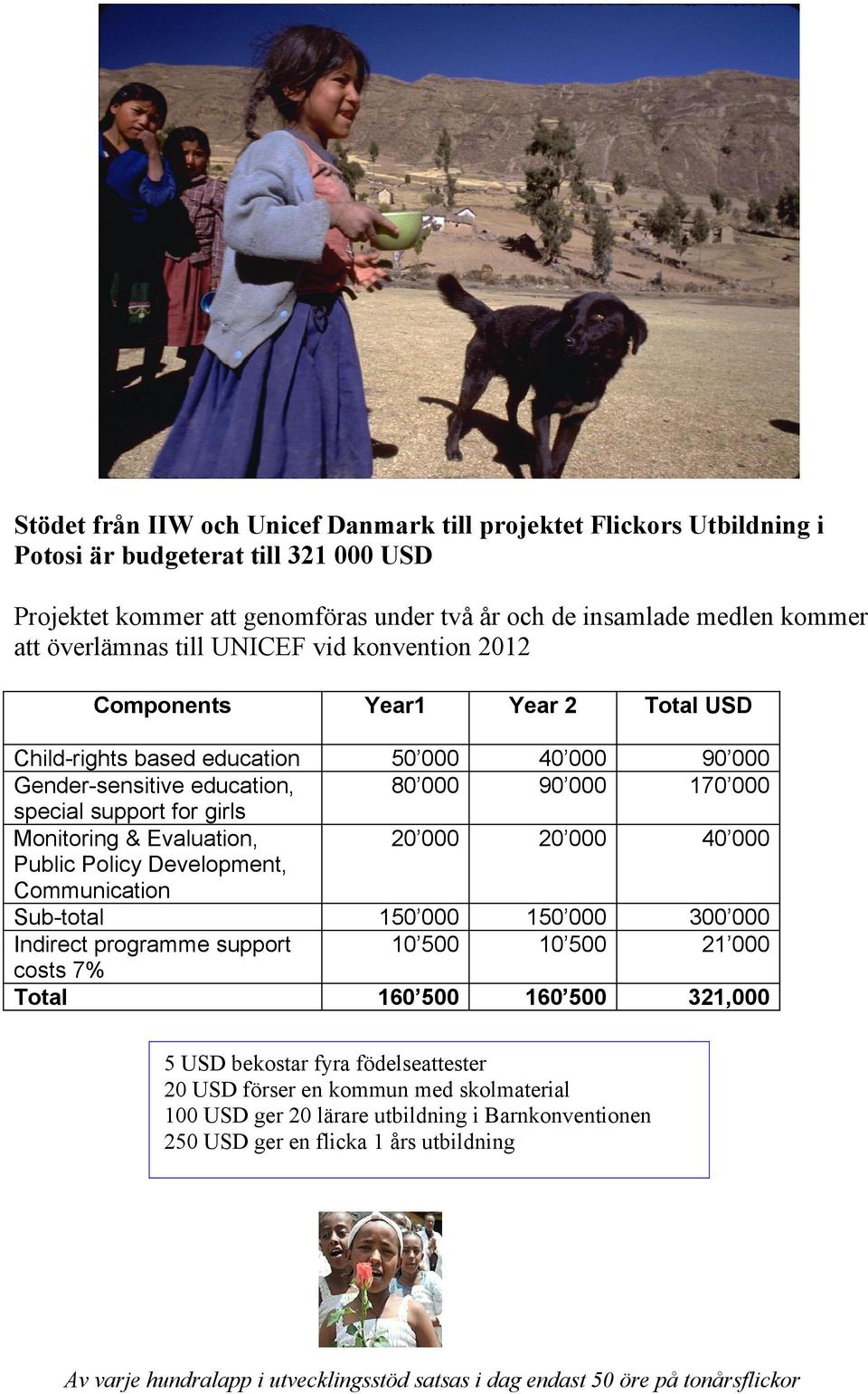 Communication Sub-total Indirect programme support costs 7% Total Year1 Year 2 Total USD 50 000 80 000 40 000 90 000 90 000 170 000 20 000 20 000 40 000 150 000 10 500 150 000 10 500 300 000 21 000