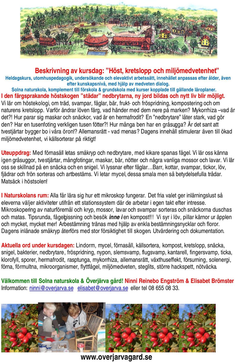 I den färgsprakande höstskogen städar nedbrytarna, ny jord bildas och nytt liv blir möjligt.