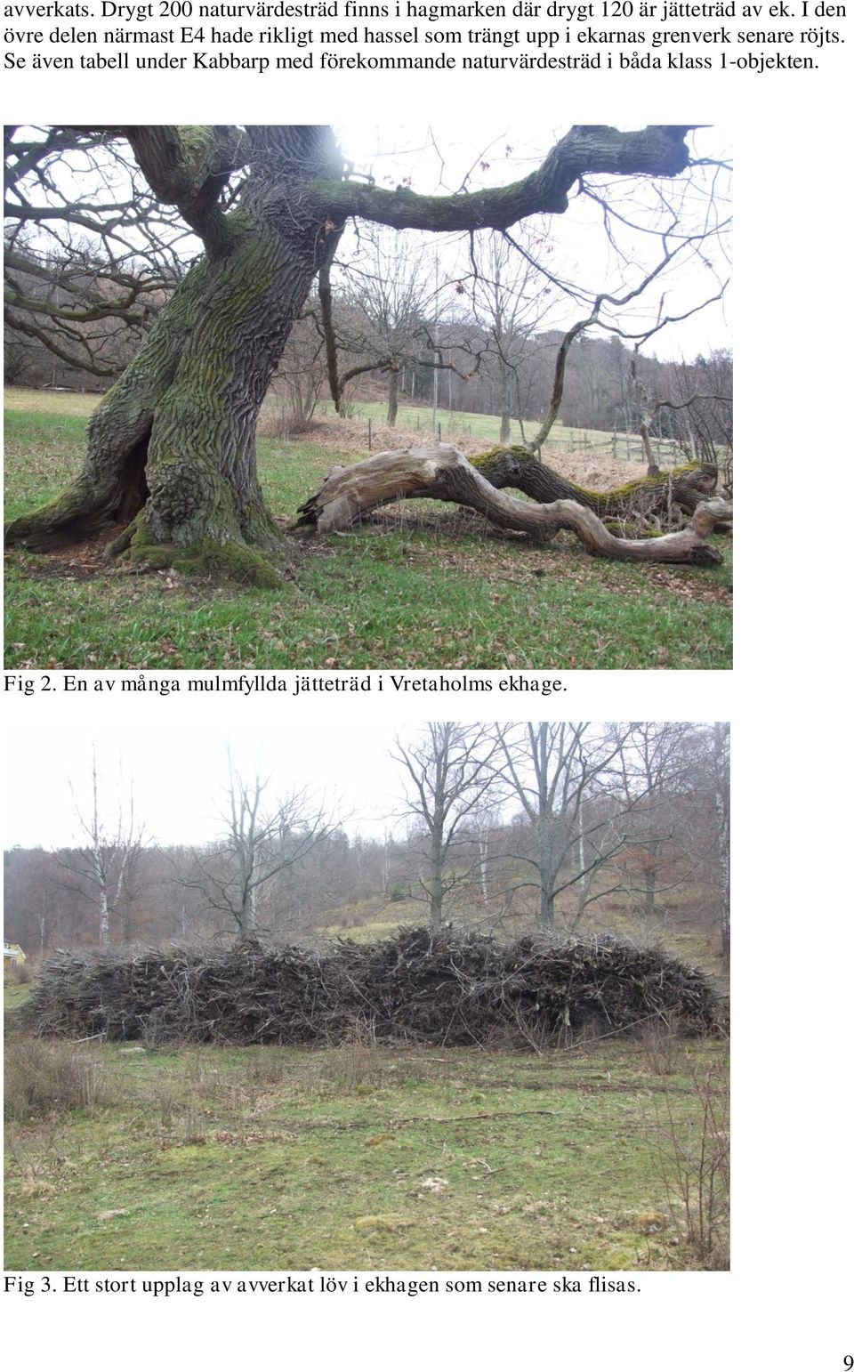 Se även tabell under Kabbarp med förekommande naturvärdesträd i båda klass 1-objekten. Fig 2.