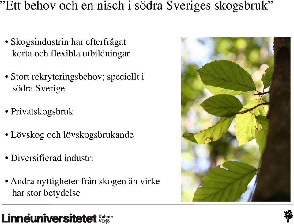 speciellt i södra Sverige Privatskogsbruk Lövskog och lövskogsbrukande