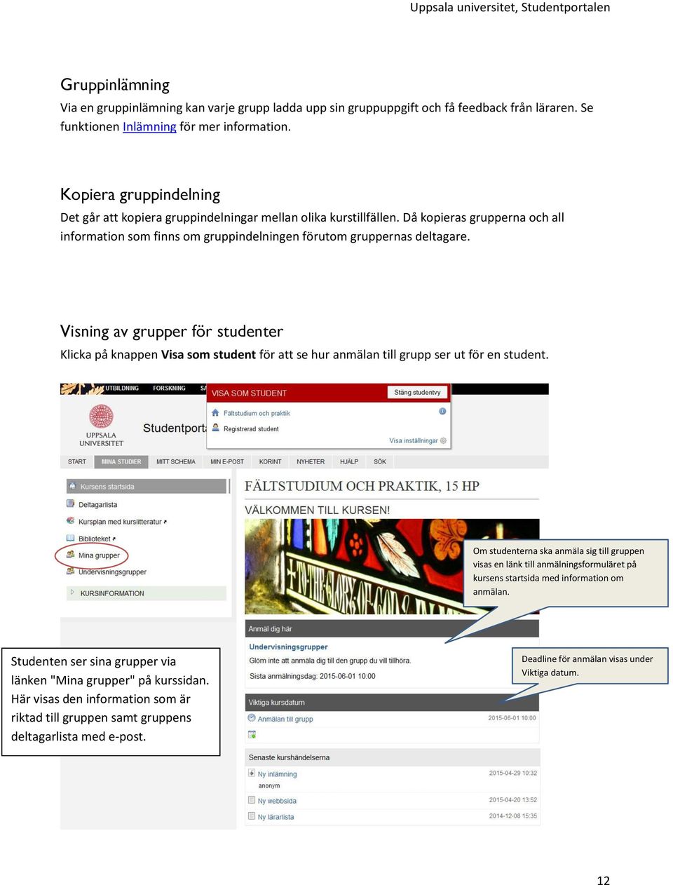 Visning av grupper för studenter Klicka på knappen Visa som student för att se hur anmälan till grupp ser ut för en student.