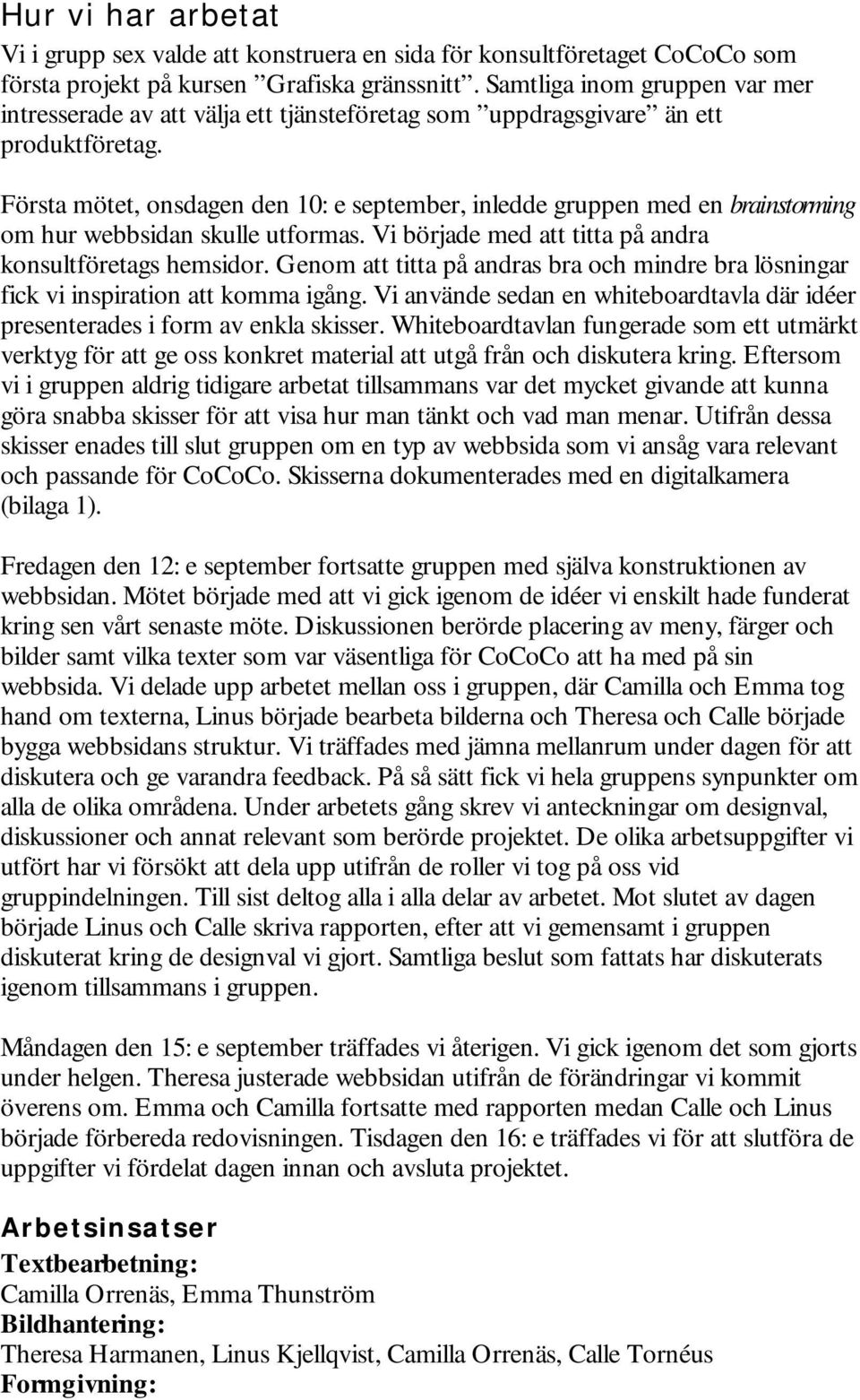 Första mötet, onsdagen den 10: e september, inledde gruppen med en brainstorming om hur webbsidan skulle utformas. Vi började med att titta på andra konsultföretags hemsidor.