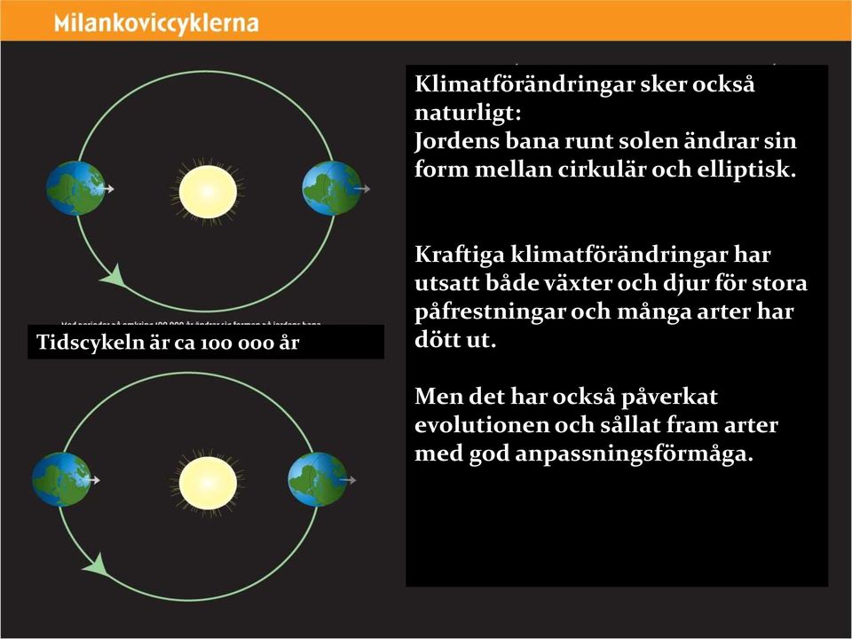 Tidscykeln är ca 100 000 år Kraftiga klimatförändringar har utsatt både växter och