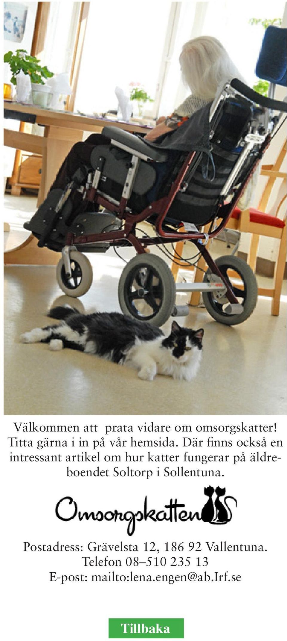 Där finns också en intressant artikel om hur katter fungerar på