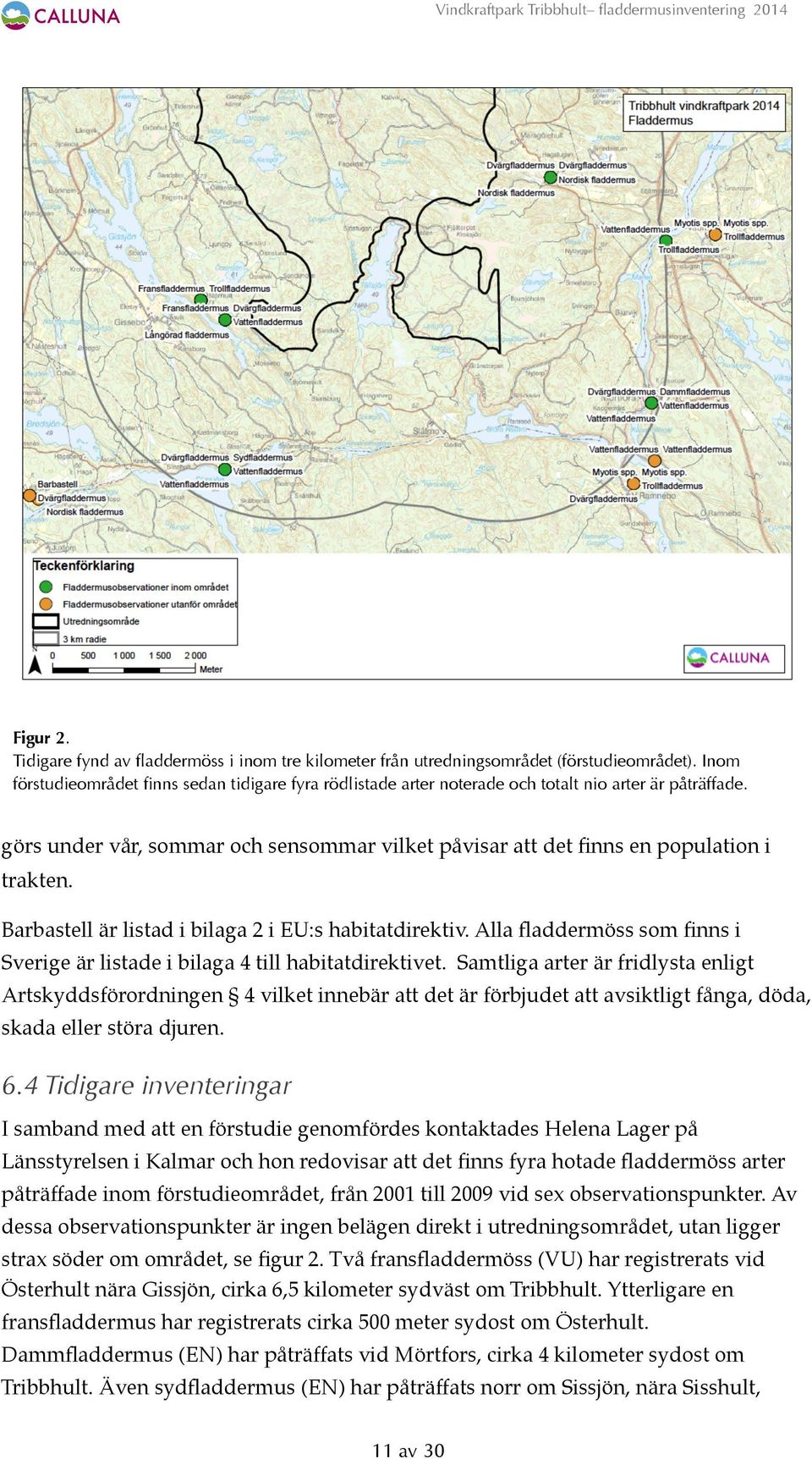 Barbastell är listad i bilaga 2 i EU:s habitatdirektiv. Alla fladdermöss som finns i Sverige är listade i bilaga 4 till habitatdirektivet.