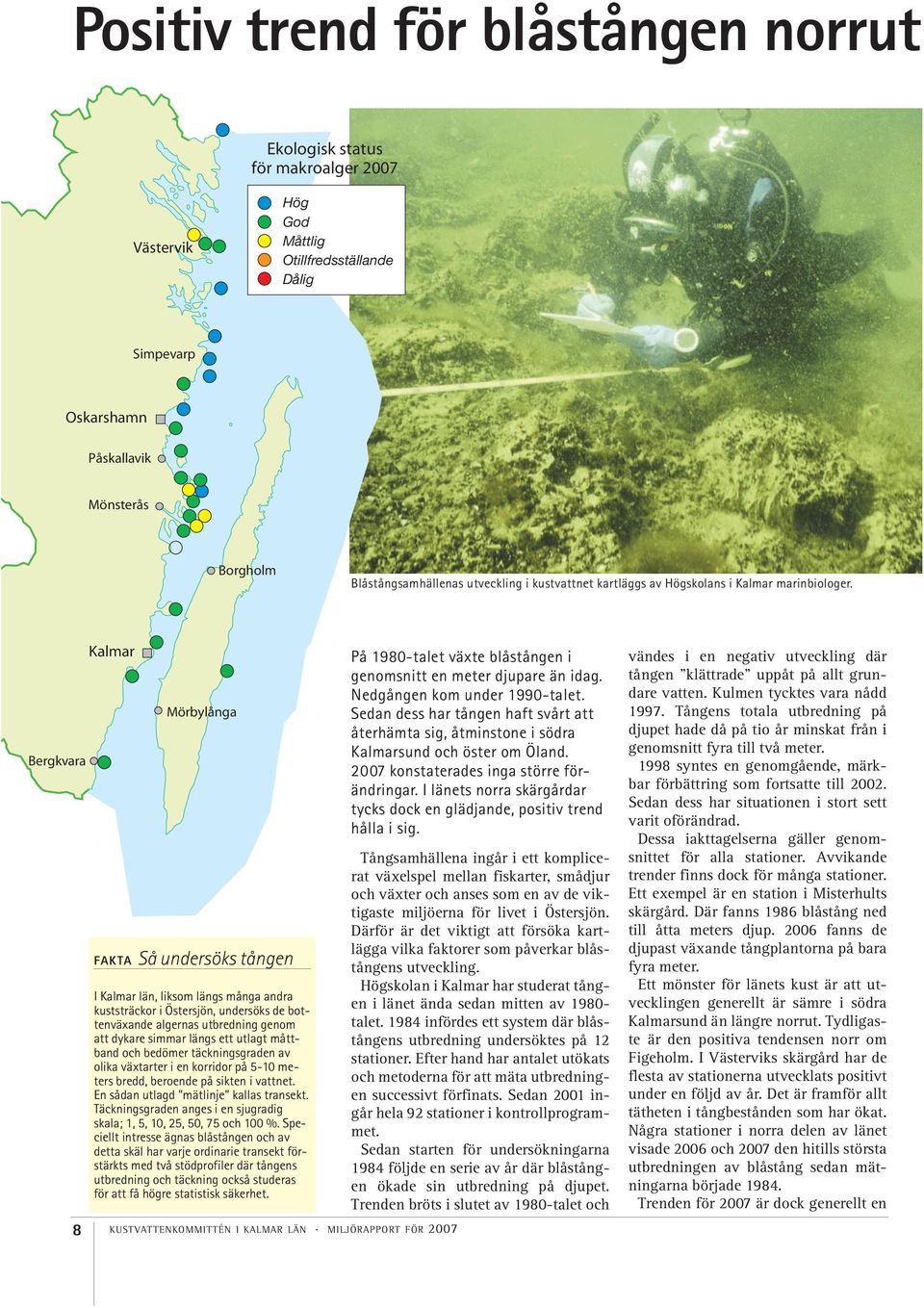 Bergkvara Mörbylånga FAKTA Så undersöks tången I län, liksom längs många andra kuststräckor i Östersjön, undersöks de bottenväxande algernas utbredning genom att dykare simmar längs ett utlagt