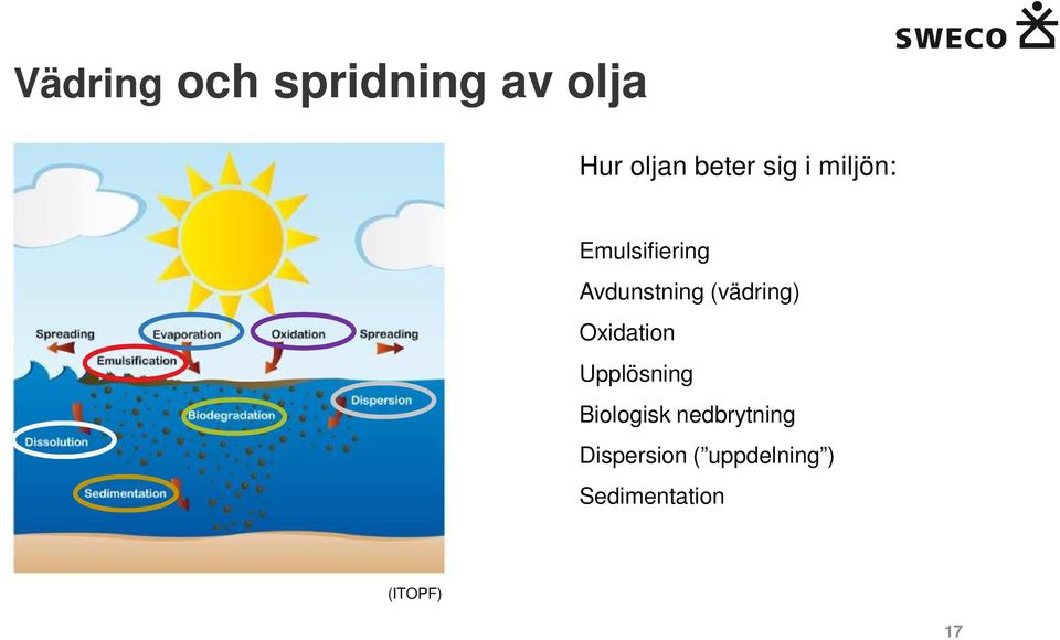 (vädring) Oxidation Upplösning Biologisk