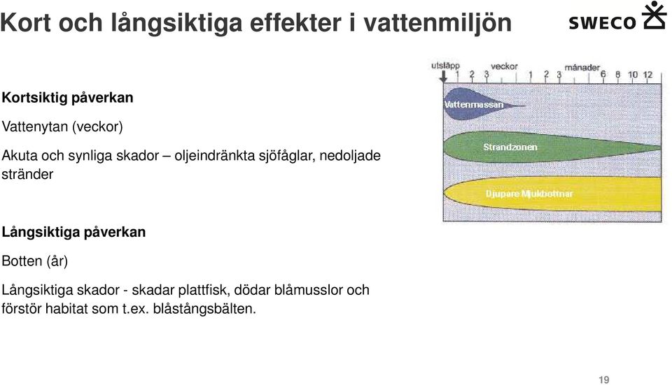 nedoljade stränder Långsiktiga påverkan Botten (år) Långsiktiga skador -