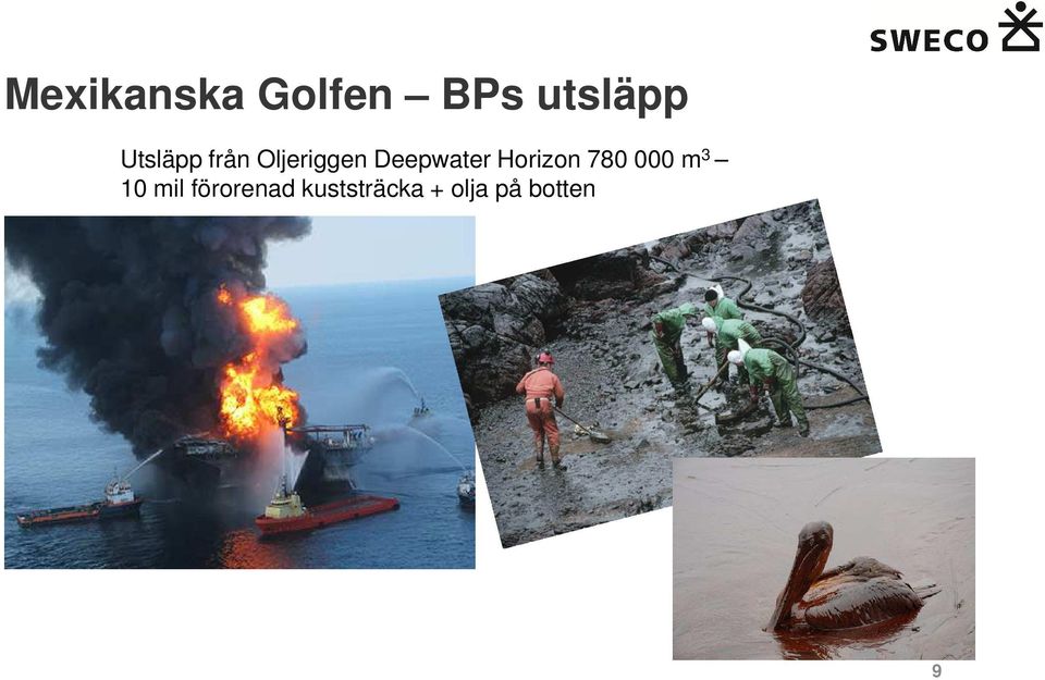 Deepwater Horizon 780 000 m 3 10