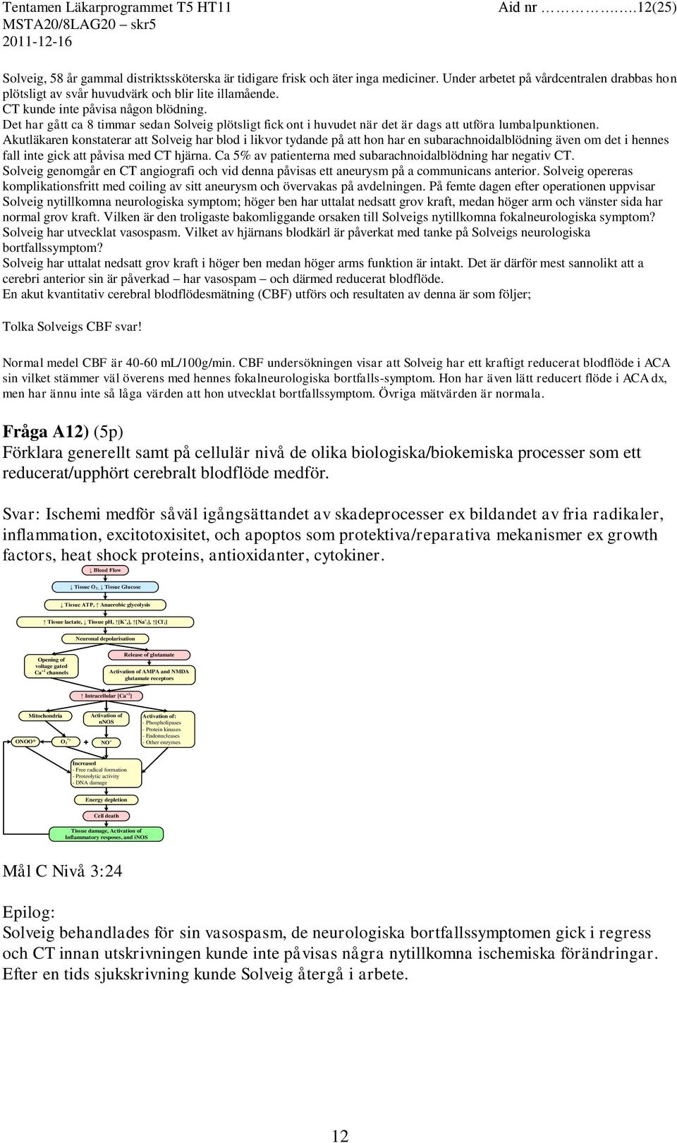 Akutläkaren konstaterar att Solveig har blod i likvor tydande på att hon har en subarachnoidalblödning även om det i hennes fall inte gick att påvisa med CT hjärna.