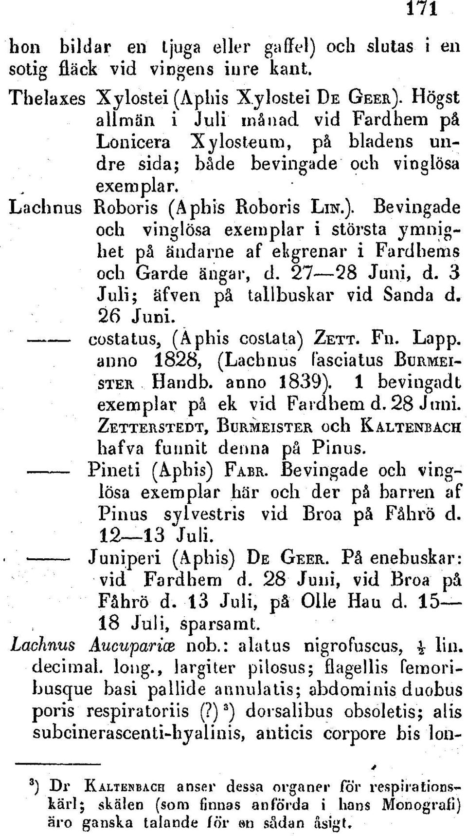 Bevingade och vinaglsa exemplar i storsta yrmnibet p iindclarne af ekgrenar i Fardherns och Garde dntgar, d. 27-28 Juni, d. 3 Juli; ffvern pa tallbuskar vid Sanda d. 26 Juni.