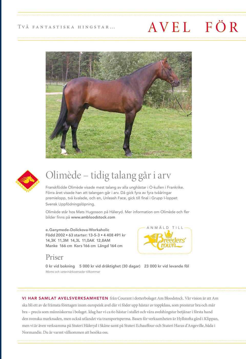 mer information om Olimède och fler bilder finns på www.ambloodstock.com e.