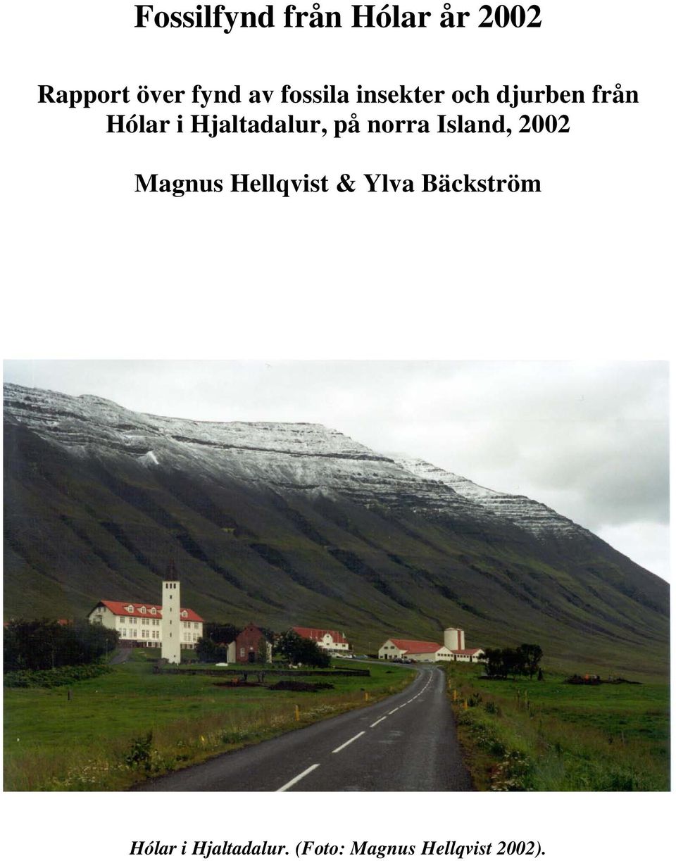 Hjaltadalur, på norra Island, 2002 Magnus Hellqvist &