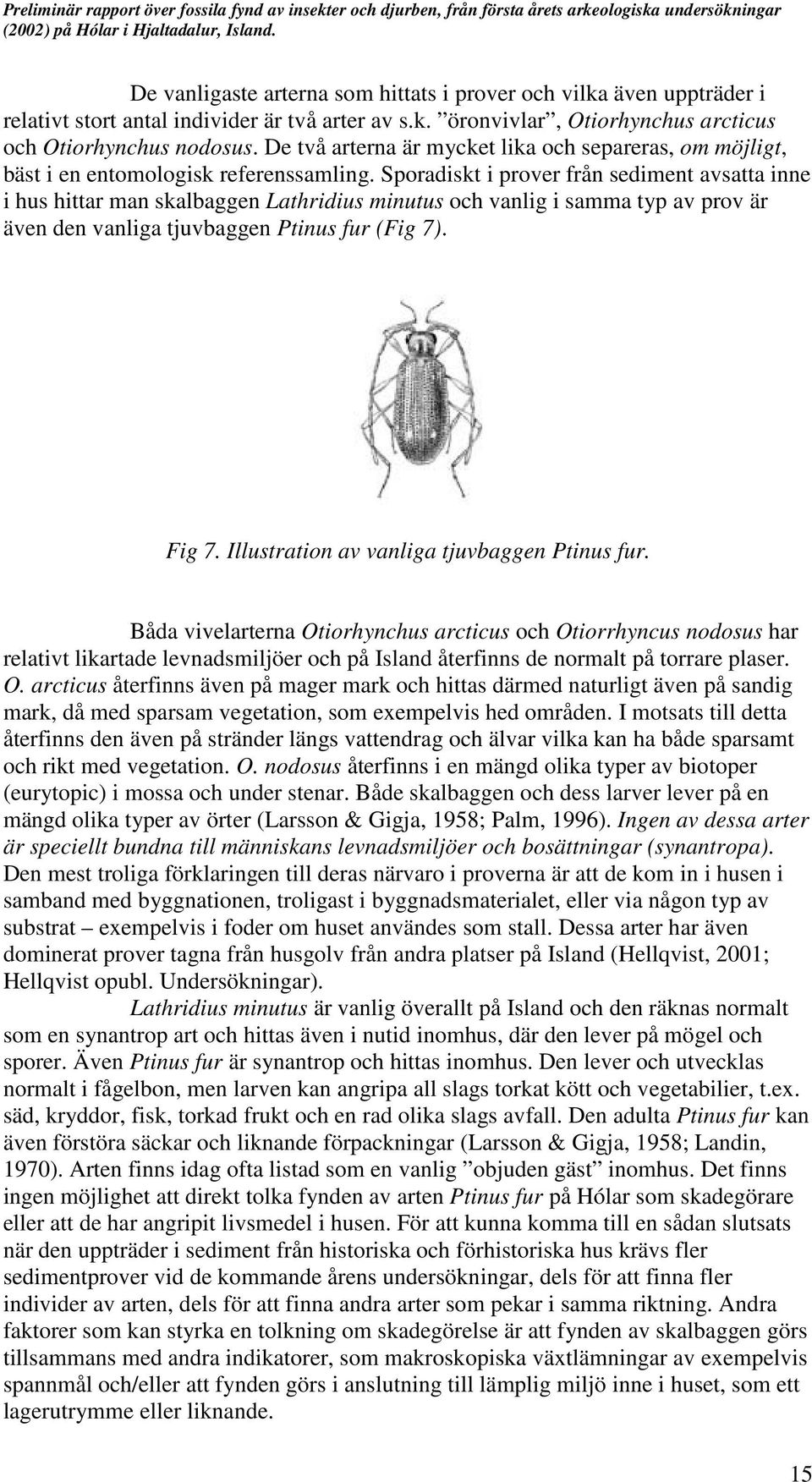 Sporadiskt i prover från sediment avsatta inne i hus hittar man skalbaggen Lathridius minutus och vanlig i samma typ av prov är även den vanliga tjuvbaggen Ptinus fur (Fig 7). Fig 7.