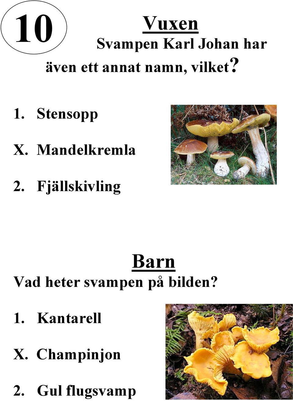 Mandelkremla 2.