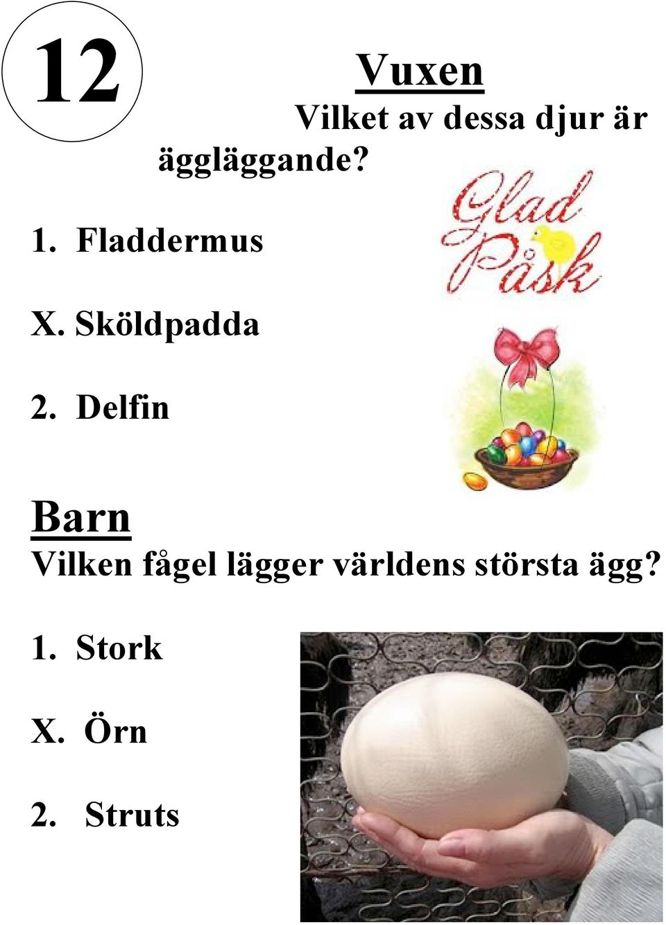 Sköldpadda 2.