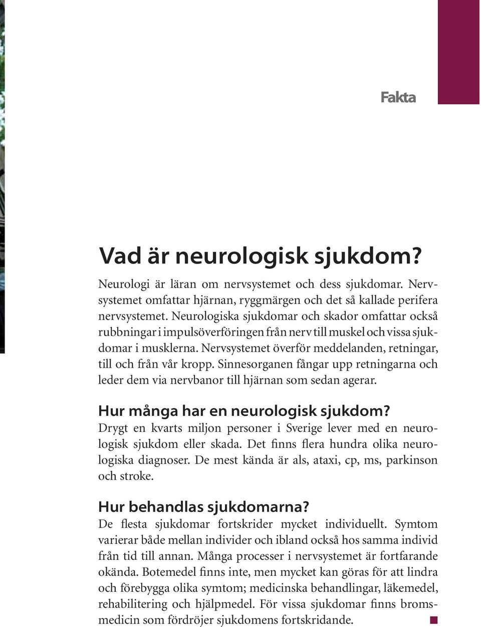 Nervsystemet överför meddelanden, retningar, till och från vår kropp. Sinnesorganen fångar upp retningarna och leder dem via nervbanor till hjärnan som sedan agerar.