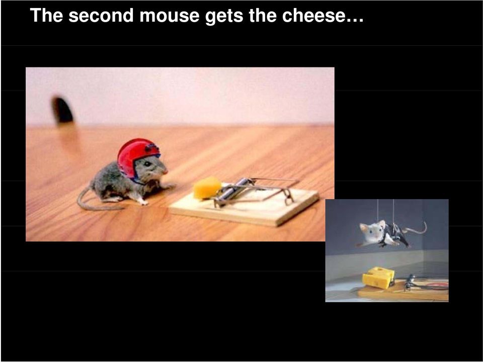 mouse