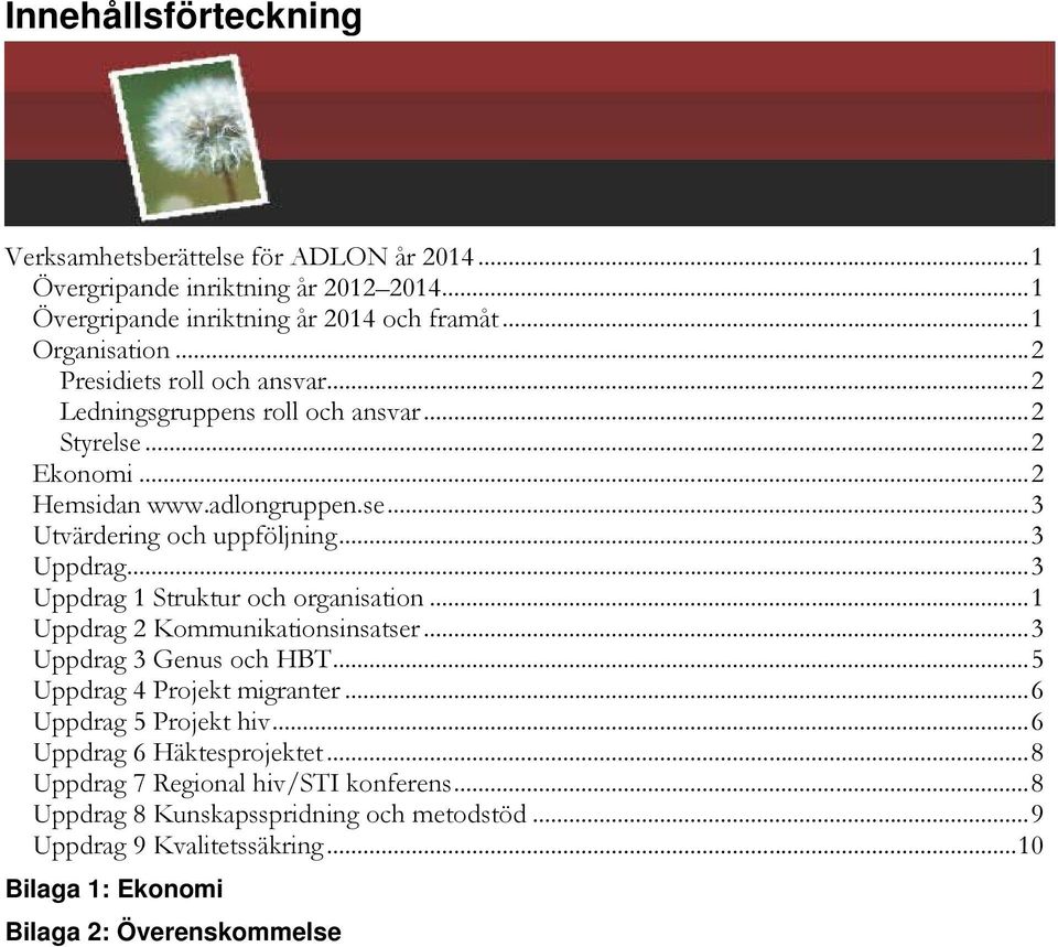 .. 3 Uppdrag 1 Struktur och organisation... 1 Uppdrag 2 Kommunikationsinsatser... 3 Uppdrag 3 Genus och HBT... 5 Uppdrag 4 Projekt migranter... 6 Uppdrag 5 Projekt hiv.