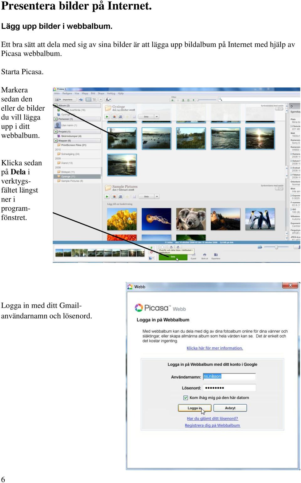 av Picasa webbalbum. Starta Picasa.