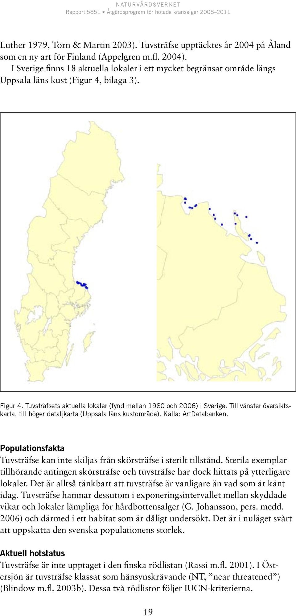 Till vänster översiktskarta, till höger detaljkarta (Uppsala läns kustområde). Källa: ArtDatabanken. Populationsfakta Tuvsträfse kan inte skiljas från skörsträfse i sterilt tillstånd.