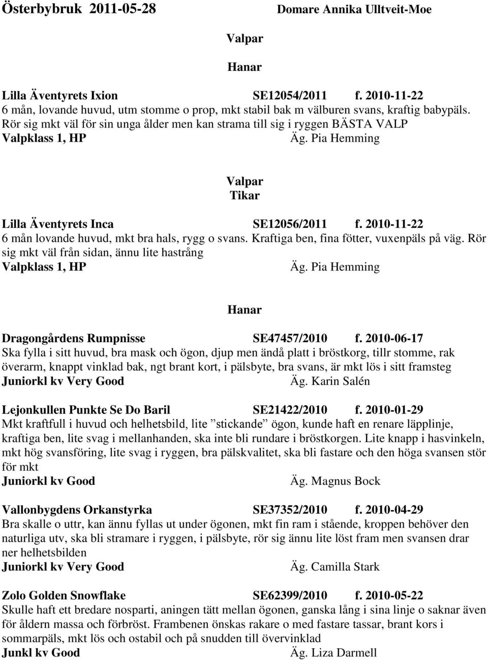 Rör sig mkt väl för sin unga ålder men kan strama till sig i ryggen BÄSTA VALP Valpklass 1, HP Valpar Tikar Lilla Äventyrets Inca SE12056/2011 f.