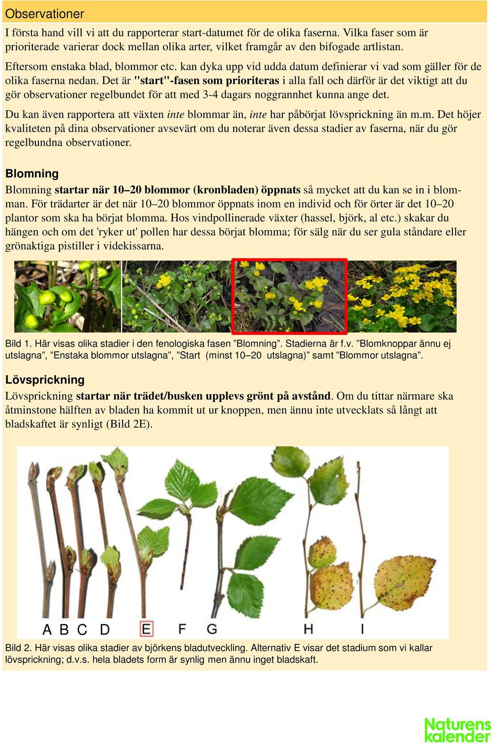 Det är "start"-fasen som prioriteras i alla fall och därför är det viktigt att du gör observationer regelbundet för att med 3-4 dagars noggrannhet kunna ange det.