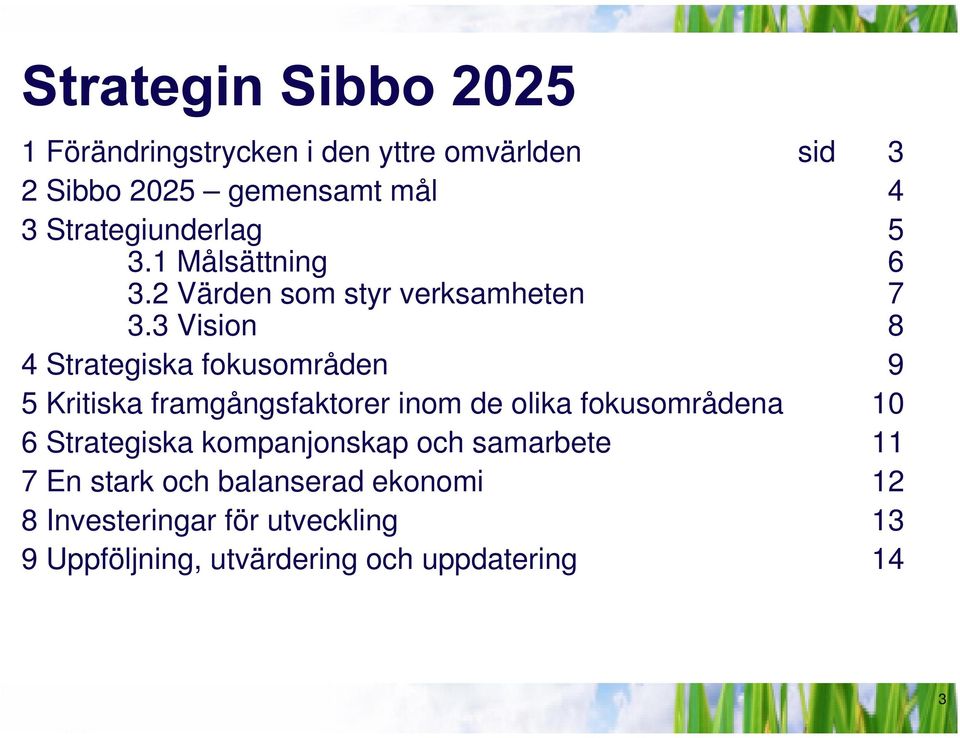 3 Vision 8 4 Strategiska fokusområden 9 5 Kritiska framgångsfaktorer inom de olika fokusområdena 10 6