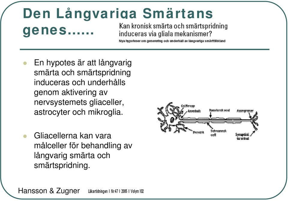 nervsystemets gliaceller, astrocyter och mikroglia.