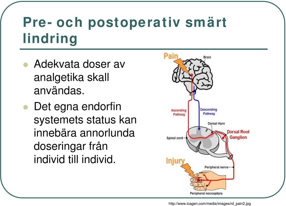 Det egna endorfin systemets status kan innebära