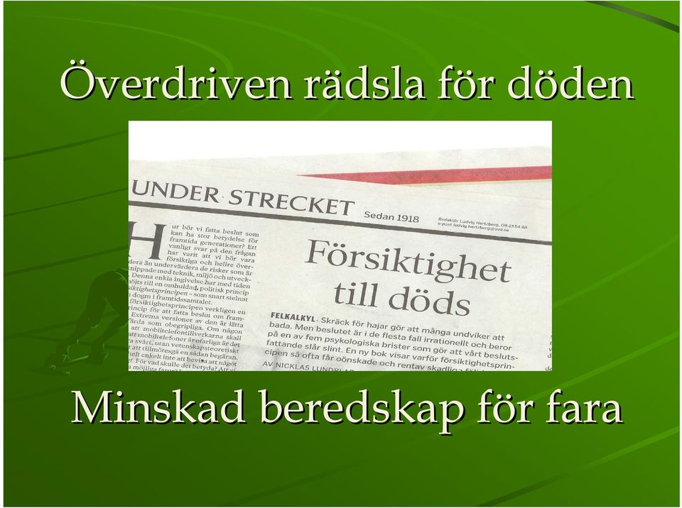 den Minskad