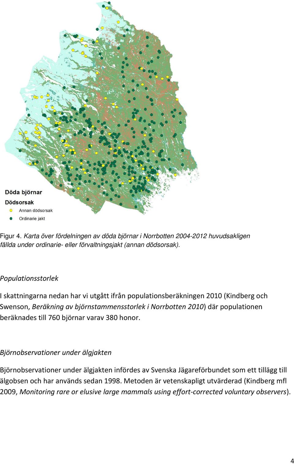 populationen beräknades till 76 björnar varav 38 honor.