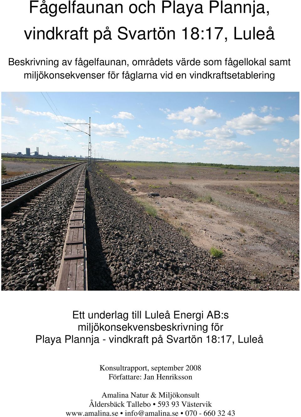 miljökonsekvensbeskrivning för Playa Plannja - vindkraft på Svartön 18:17, Luleå Konsultrapport, september 2008