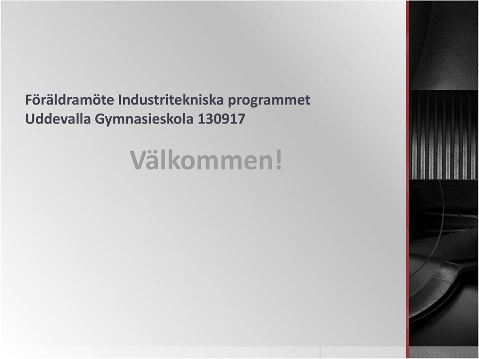 programmet Uddevalla