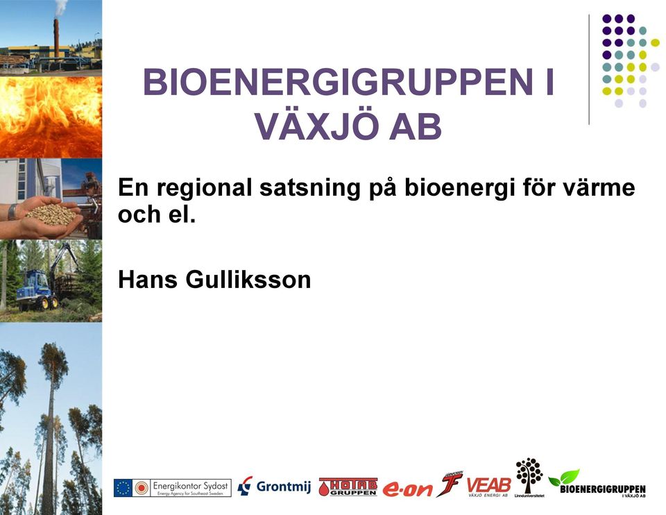 satsning på bioenergi