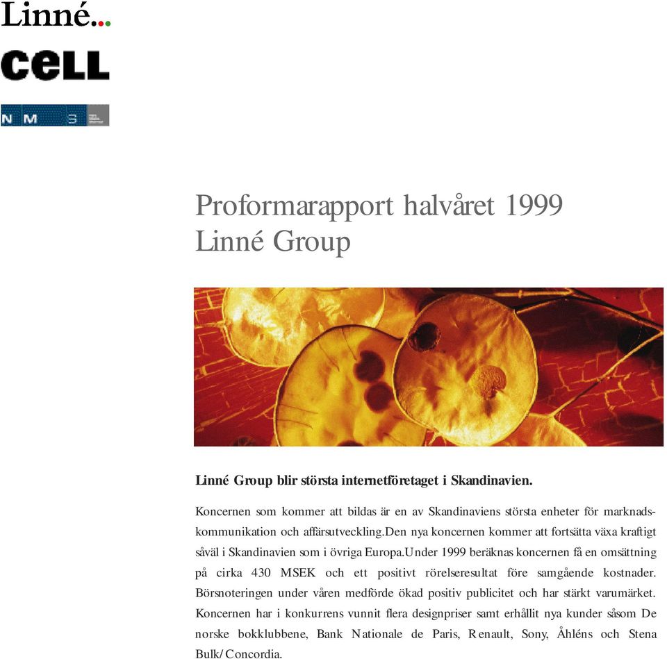 den nya koncernen kommer att fortsätta växa kraftigt såväl i Skandinavien som i övriga Europa.