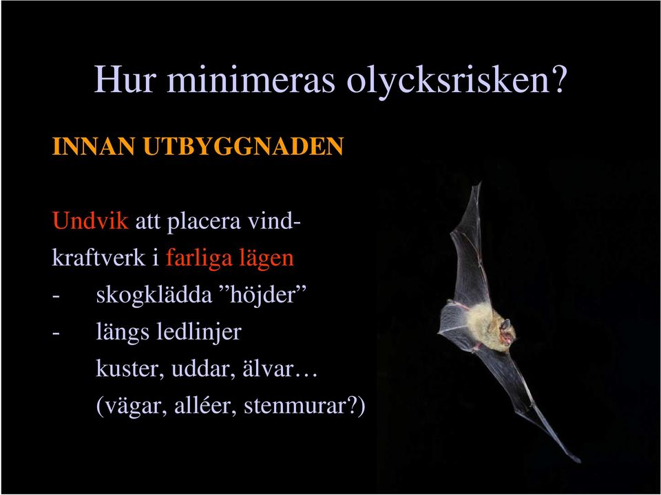 vindkraftverk i farliga lägen - skogklädda