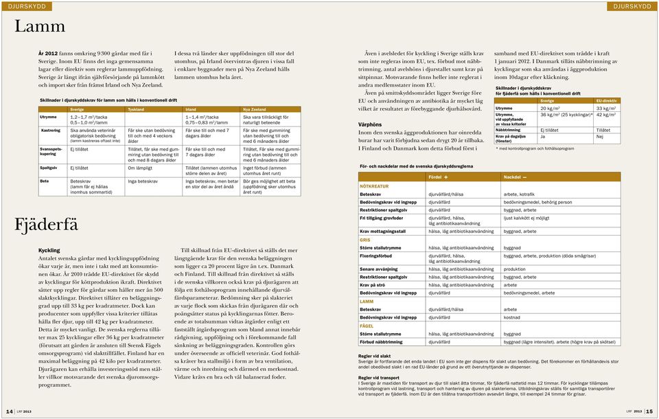 Skillnader i djurskyddskrav för lamm som hålls i konventionell drift Utrymme Kastrering Svansspetskupering Fjäderfä Kyckling Antalet svenska gårdar med kycklinguppfödning ökar varje år, men inte i
