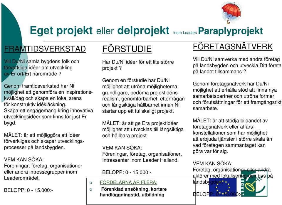 Skapa ett engagemang kring innovativa utvecklingsidéer som finns för just Er bygd. MÅLET: är att möjliggöra att idéer förverkligas och skapar utvecklingsprocesser på landsbygden.