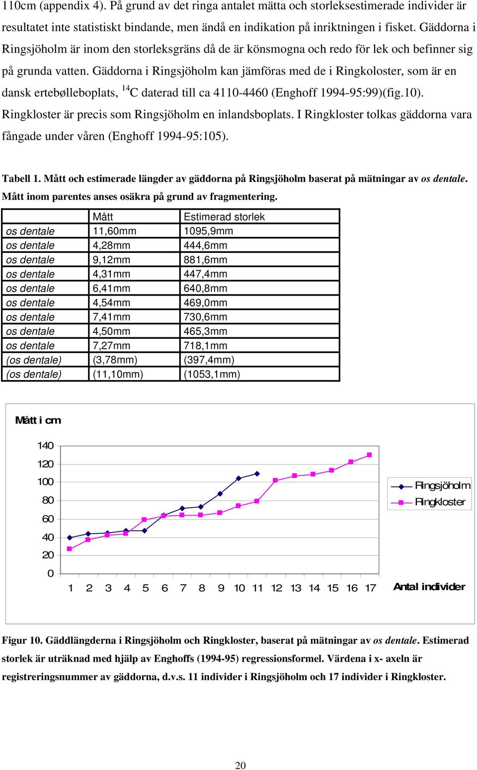 Gäddorna i Ringsjöholm kan jämföras med de i Ringkoloster, som är en dansk ertebølleboplats, 14 C daterad till ca 4110-4460 (Enghoff 1994-95:99)(fig.10).