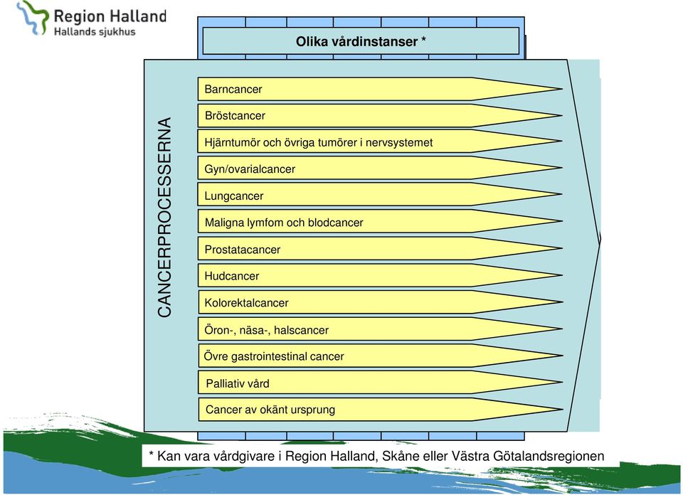 Olika vårdinstanser * Olika vårdinstanser * CANCERPROCESSERNA Barncancer Barncancer Bröstcancer Bröstcancer Hjärntumör och övriga tumörer i nervsystemet Hjärntumör och övriga tumörer i nervsystemet