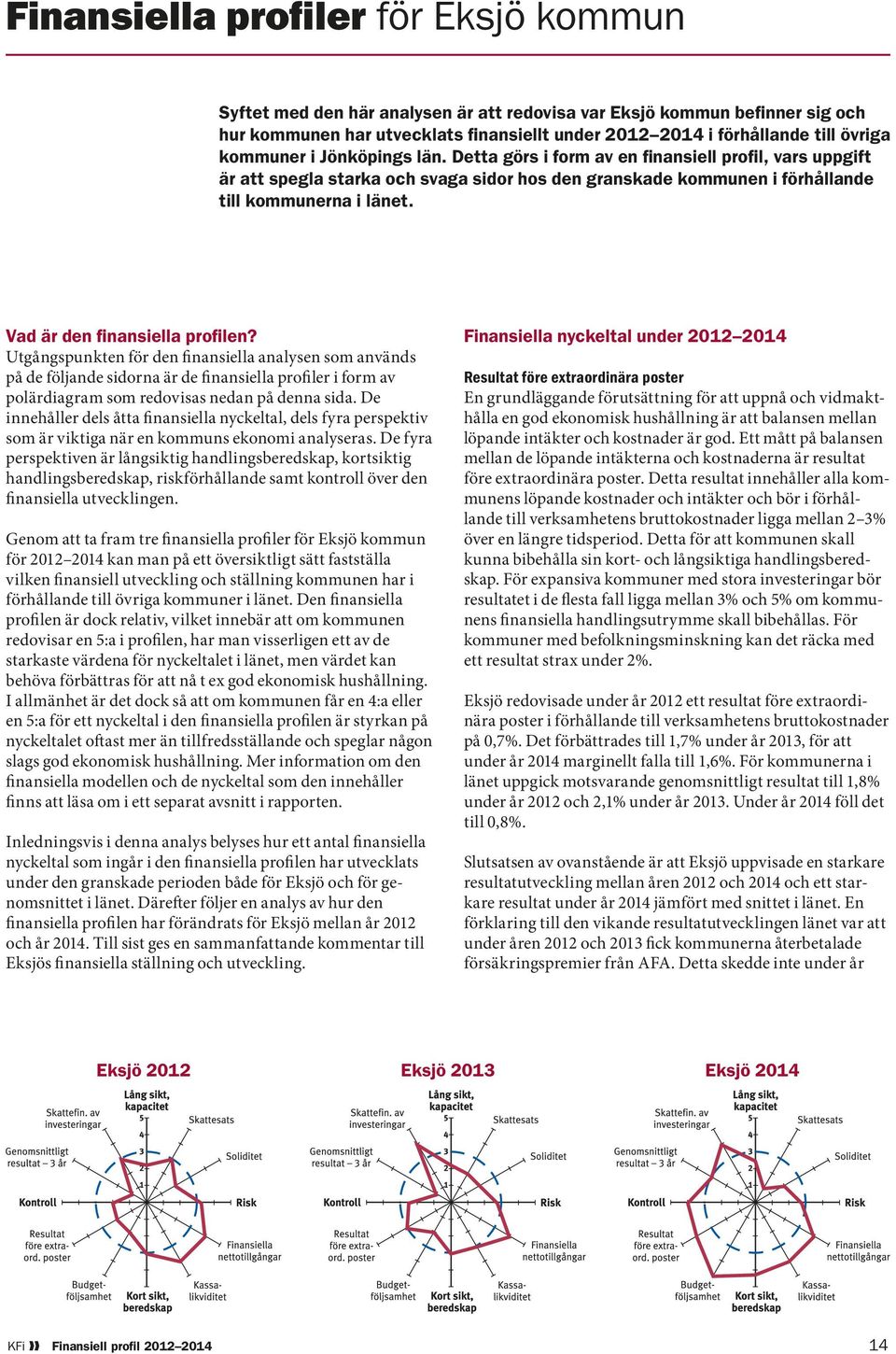 Vad är den finansiella profilen? Utgångspunkten för den finansiella analysen som används på de följande sidorna är de finansiella profiler i form av polärdiagram som redovisas nedan på denna sida.