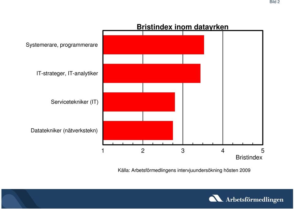 IT-strateger, IT-analytiker