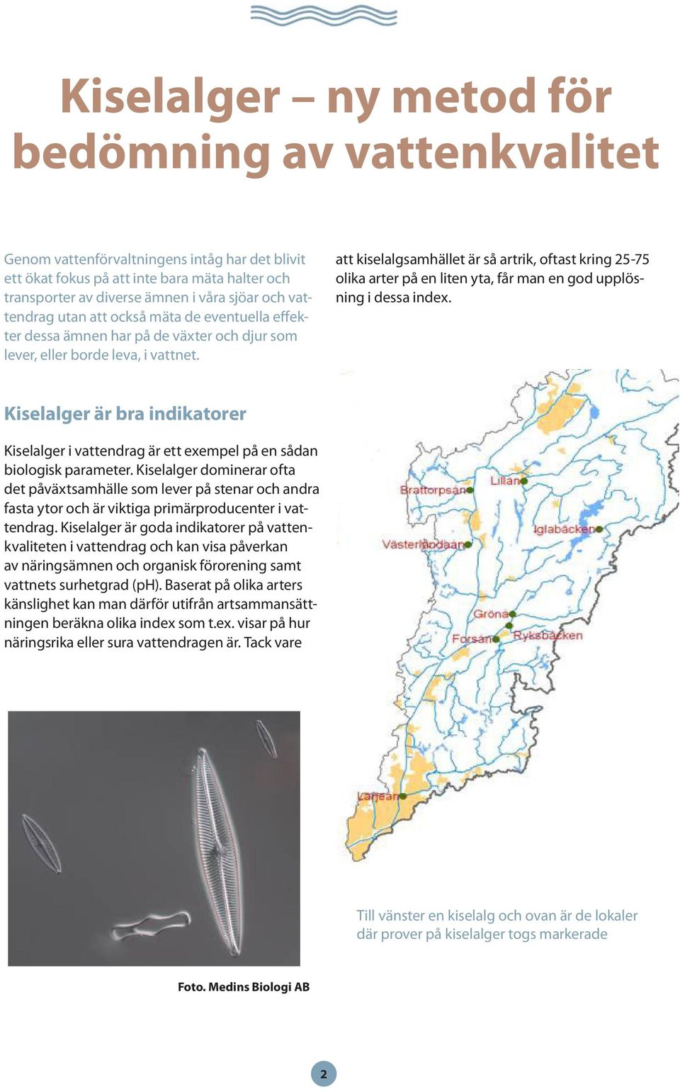 att kiselalgsamhället är så artrik, oftast kring 25-75 olika arter på en liten yta, får man en god upplösning i dessa index.